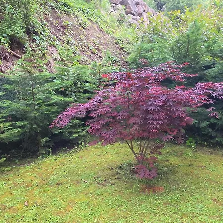 Turistico Aguere Apartment Ribadesella