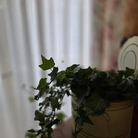 Turistico Aguere Apartment