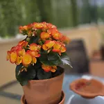 Turistico Aguere アパート リバデセリャ