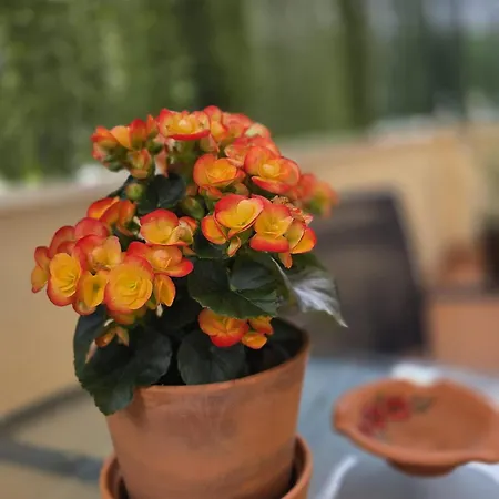 Turistico Aguere شقة ريباذيسييّا